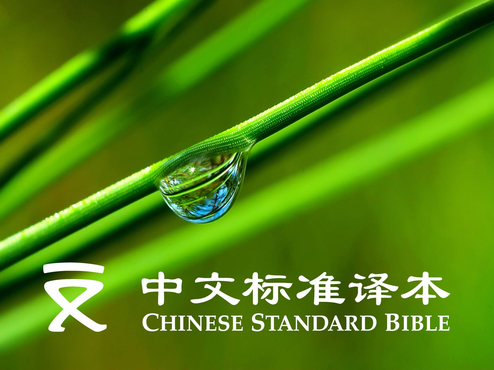 ChineseStandardBible_Link