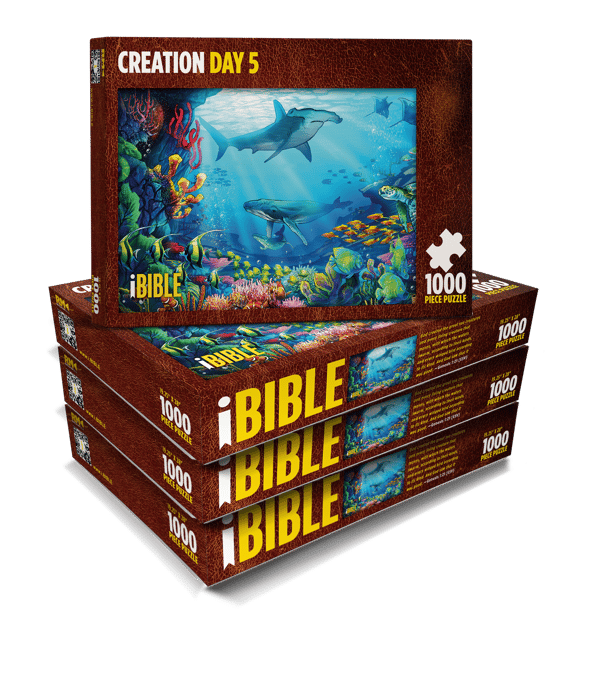 iBIBLE_puzzle3dBox_StackCreation